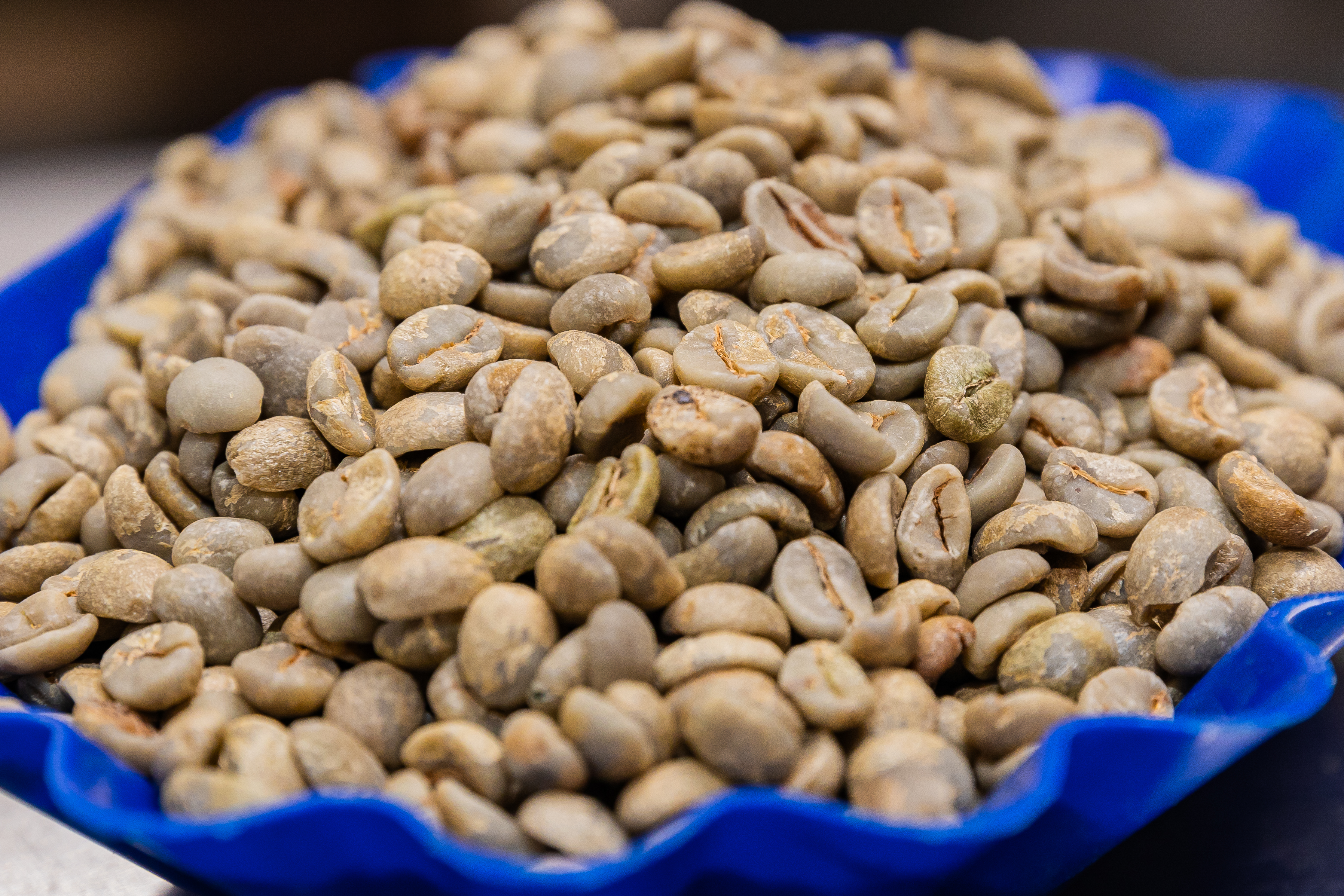 Kaffea-X mobile coffee trading platform background with specialty coffee beans and market data
